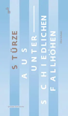 Schmit |  Stürze aus unterschiedlichen Fallhöhen | Buch |  Sack Fachmedien