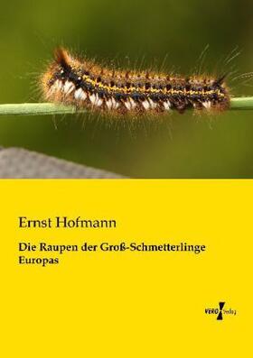 Hofmann |  Die Raupen der Groß-Schmetterlinge Europas | Buch |  Sack Fachmedien
