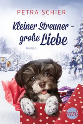 Schier |  Kleiner Streuner - große Liebe | Buch |  Sack Fachmedien
