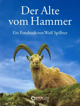 Spillner |  Der Alte vom Hammer | eBook | Sack Fachmedien