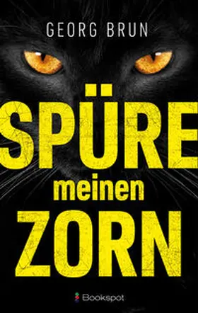 Brun |  Spüre meinen Zorn | Buch |  Sack Fachmedien