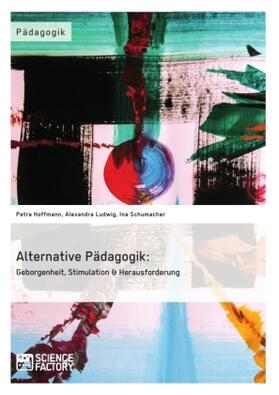 Hoffmann / Ludwig / Schumacher |  Alternative Pädagogik: Geborgenheit, Stimulation & Herausforderung | Buch |  Sack Fachmedien