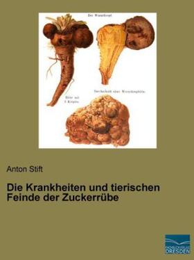 Stift |  Die Krankheiten und tierischen Feinde der Zuckerrübe | Buch |  Sack Fachmedien
