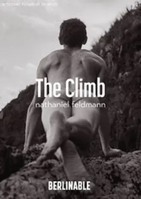 Feldmann |  The Climb | eBook | Sack Fachmedien