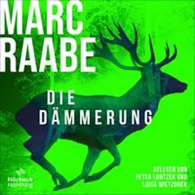 Raabe |  Die Dämmerung (Art Mayer-Serie 2) | Sonstiges |  Sack Fachmedien