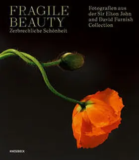 Forbes / Harbin / Caston |  Fragile Beauty - zerbrechliche Schönheit | Buch |  Sack Fachmedien