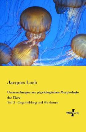 Loeb |  Untersuchungen zur physiologischen Morphologie der Tiere | Buch |  Sack Fachmedien
