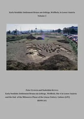 Stadler / Kotova |  Early Neolithic Settlement Brunn am Gebirge, Wolfholz, in Lower Austria Volume 3 (BUFM 101) | Buch |  Sack Fachmedien