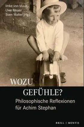 Maur / Meyer / Walter |  Wozu Gefühle? Philosophische Reflexionen für Achim Stephan | Buch |  Sack Fachmedien