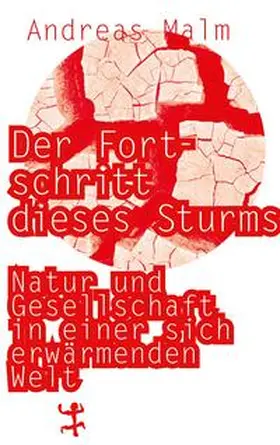 Malm |  Der Fortschritt dieses Sturms | Buch |  Sack Fachmedien