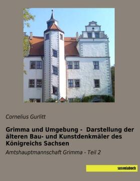 Gurlitt |  Grimma und Umgebung -  Darstellung der älteren Bau- und Kunstdenkmäler des Königreichs Sachsen | Buch |  Sack Fachmedien