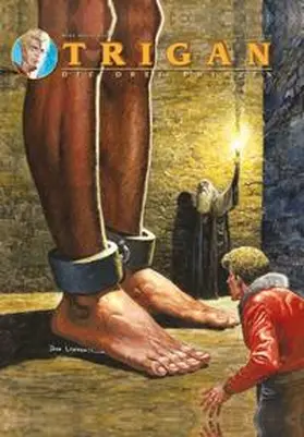 Lawrence / Butterworth |  Trigan | Buch |  Sack Fachmedien