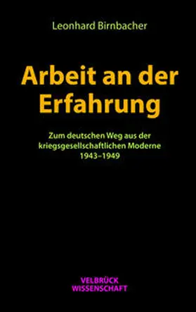 Birnbacher |  Arbeit an der Erfahrung | Buch |  Sack Fachmedien