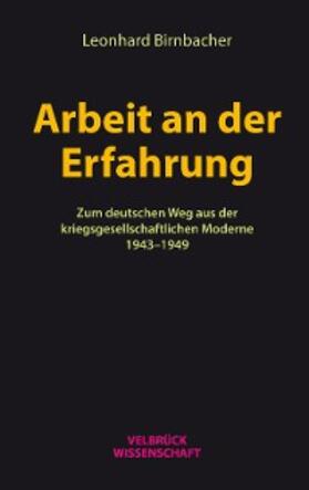 Birnbacher |  Arbeit an der Erfahrung | eBook | Sack Fachmedien