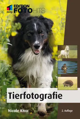 Knor |  Tierfotografie | Buch |  Sack Fachmedien