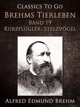 Brehm |  Brehms Tierleben. Vögel. Band 19: Kurzflügler. Stelzvögel | eBook | Sack Fachmedien