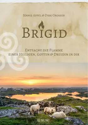 Grosser / Appel |  Brigid | Buch |  Sack Fachmedien