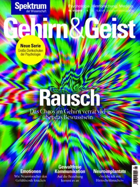  Gehirn&Geist 1/2019 Rausch | eBook | Sack Fachmedien