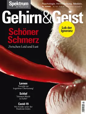  Gehirn&Geist 12/2020 Schöner Schmerz | eBook | Sack Fachmedien