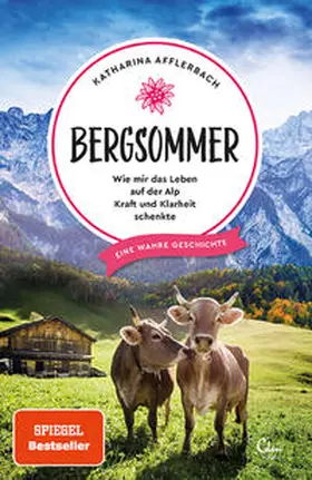 Afflerbach |  Bergsommer | Buch |  Sack Fachmedien