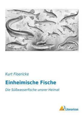Floericke |  Einheimische Fische | Buch |  Sack Fachmedien