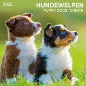  Hundewelpen/Puppy Dogs 2026 | Sonstiges |  Sack Fachmedien