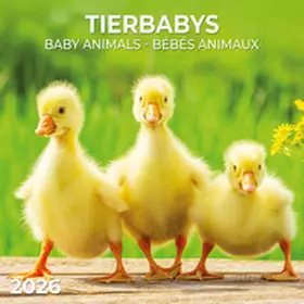  Tierbabys/Baby Animals  2026 | Sonstiges |  Sack Fachmedien