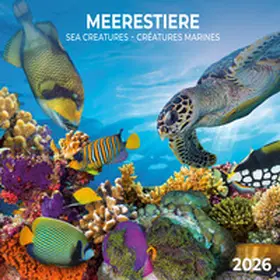  Meerestiere 2026 | Sonstiges |  Sack Fachmedien