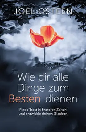 Osteen |  Wie dir alle Dinge zum Besten dienen | Buch |  Sack Fachmedien
