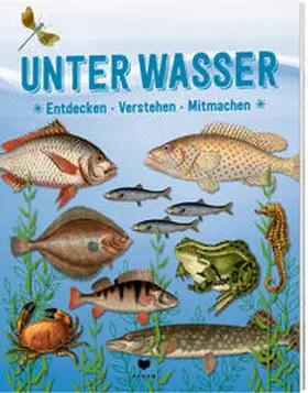 roots / Roebers |  UNTER WASSER | Buch |  Sack Fachmedien