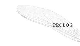 Jones / An Parker / Schreiner |  himmlisch heiße Schleckereien zu Weihnachten | eBook | Sack Fachmedien