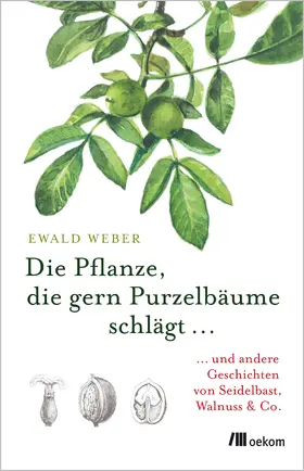 Weber |  Die Pflanze, die gern Purzelbäume schlägt ... | Buch |  Sack Fachmedien