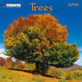  Trees Mini 2018 | Sonstiges |  Sack Fachmedien