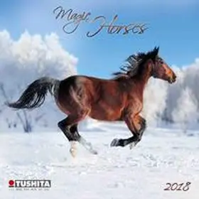  Magic Horses Mini 2018 | Sonstiges |  Sack Fachmedien