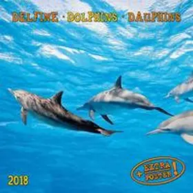 Delfine 2018 | Sonstiges | 978-3-96013-401-5 | www2.sack.de