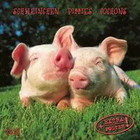  Schweinchen 2018 | Sonstiges |  Sack Fachmedien