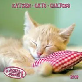  Katzen 2018 | Sonstiges |  Sack Fachmedien