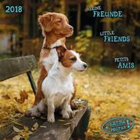  Kleine Freunde 2018 | Sonstiges |  Sack Fachmedien