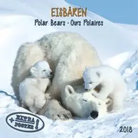  Eisbären 2018 | Sonstiges |  Sack Fachmedien