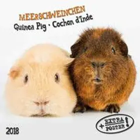  Meerschweinchen 2018 | Sonstiges |  Sack Fachmedien
