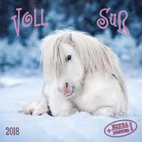 Voll süß 2018 | Sonstiges | 978-3-96013-439-8 | www2.sack.de