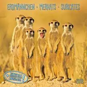  Erdmännchen 2018 | Sonstiges |  Sack Fachmedien