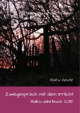 Friebel |  Zwiegespräch mit dem Irrlicht | Buch |  Sack Fachmedien