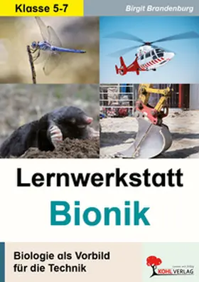 Brandenburg |  Lernwerkstatt Bionik | Buch |  Sack Fachmedien