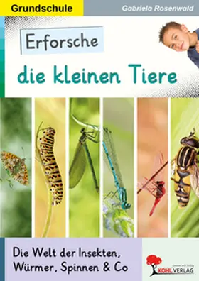 Rosenwald |  Erforsche die kleinen Tiere | Buch |  Sack Fachmedien