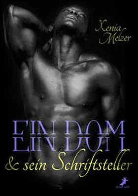 Melzer |  Ein Dom und sein Schriftsteller | Buch |  Sack Fachmedien