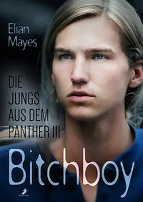 Mayes |  Die Jungs aus dem Panther 3: Bitchboy | Buch |  Sack Fachmedien