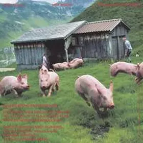 Fischli / Stadler |  147 Backcovers. Summer Fall Winter Spring Anzeigen Galerie Bischofberger By Peter Fischli und Hilar Stadler | Buch |  Sack Fachmedien