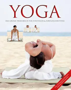 Schöps |  Yoga - Das große Praxisbuch für Einsteiger & Fortgeschrittene | Buch |  Sack Fachmedien
