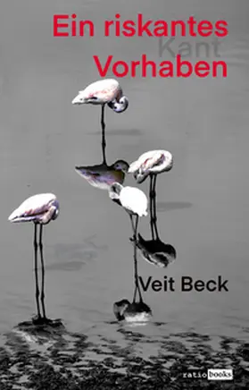Beck |  Ein riskantes Vorhaben | Buch |  Sack Fachmedien